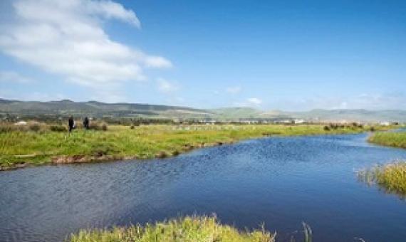 The Aldinga wetlands is culturally significant to the Kaurna people. Credit - www.abc.net.au