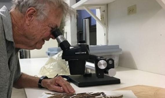 Art Whistler at work (Source: Alice Campbell)