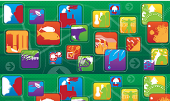 Aichi biodiversity targets. Credit - CAFF Secretariat