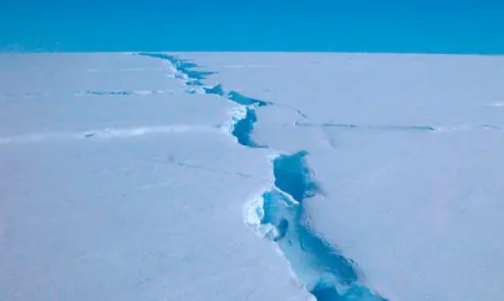 Climate change and the threat of industrial fishing are pressuring Antarctic marine life. Photograph: Richard Coleman/AFP/Getty Images