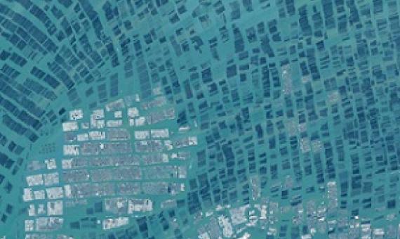 Aerial photo of aquaculture in Luoyuan Bay, China. Credit: Created by Overview, source imagery by Maxar Technologies