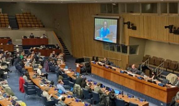 Delegates convene to negotiate a high seas treaty in New York this month. Image by Julian Jackson / Pew.