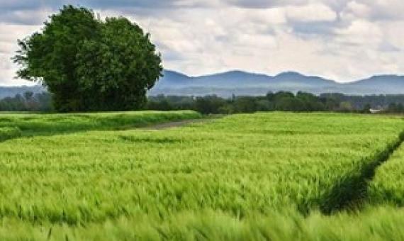 Credit: Pixabay/CC0 Public Domain