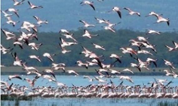 BIOPAMA Rapid Response Grants 2020. Credit - BIOPAMA