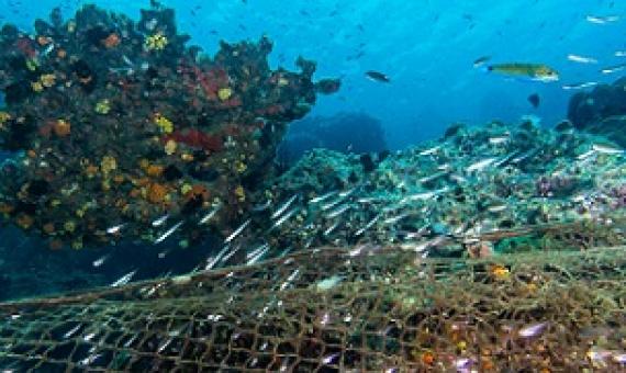 The estimated cost alone of illegal, unreported and unregulated fishing within the western and central Pacific is more than $US616m ($870.5m) per year. Source - https://www.theaustralian.com.au/ 