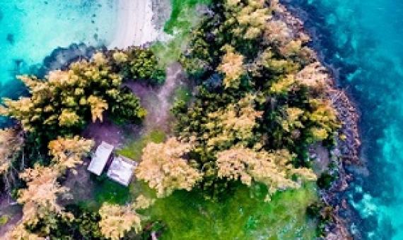 Credit - Reilly Durfy/Unsplash