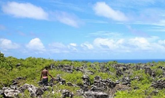 When mining finally ended, 22m tonnes of land had been removed. Credit - Janice Cantieri