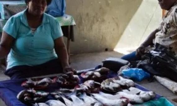 Two vendors at a fish market in Sigatoka, Fiji. Photo by: john.trif on Flickr / CC BY-NC-ND