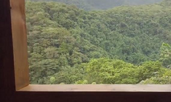 Samoa's bird-watching nature trail opens