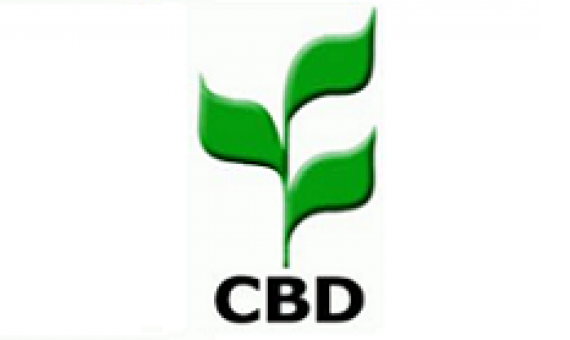CBD logo
