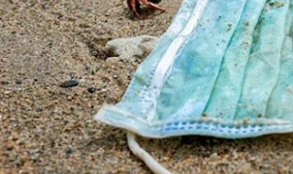 A hermit crab near a discarded face mask. The Kunming biodiversity summit was meant to take place in October last year but has been delayed twice due to the coronavirus pandemic. Photograph: Daniel Garcia Mendoza/Alamy