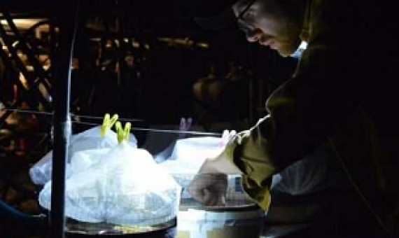 Credit: Trinity College Dublin