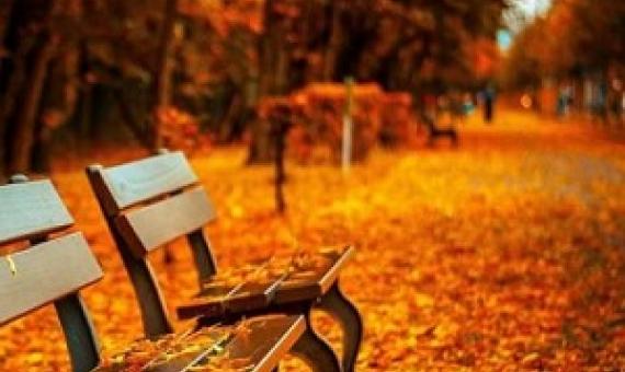 Credit: CC0 Public Domain