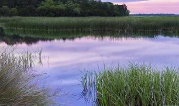 CREDIT - KEITHBRILEY/ISTOCK/GETTY IMAGES PLUS