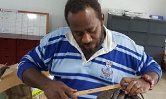 Issues such as over-exploitation and over-harvesting has led to the temporary ban, said the Acting Manager of the DoF’s Policy Division, Christopher Author. Credit - Vanuatu DoF