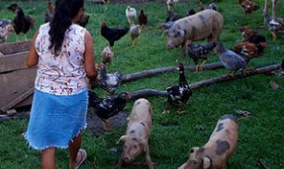 A farmer with livestock in Acre, Brazil. Credit - CIFOR/Kate Evans