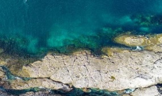 Sea life around the Coromandel coast has visibly declined over the past 25 years, says Everth. Photo: Ferntech/ Unsplash