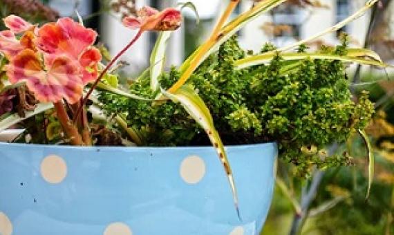 Turn something old into a home for a plant, and get creative. Garry Knight/Flickr, CC BY