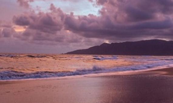 Sunset on the beach in Ujung Kulon National Park, Java (Photo by Robin Moore, Global Wildlife Conservation)