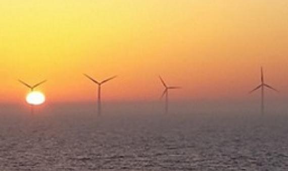 Coronavirus recovery should ‘build back bluer’