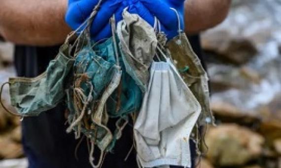  'Covid waste': disposable masks and latex gloves turn up on seabed. credit
