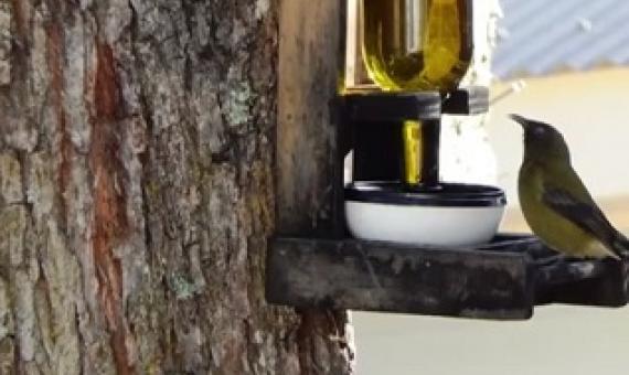 New research needed to gauge impact of Covid-19 lockdown on environment