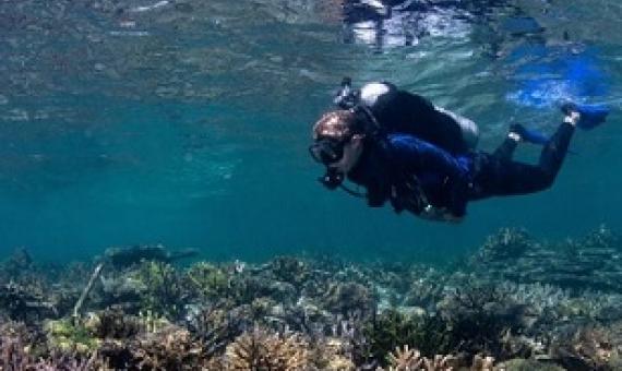 Credit - the Ocean Agency