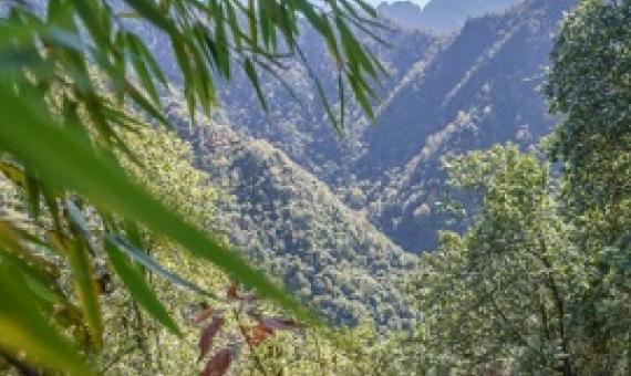 A Sichuanese forest ranger on patrol in the Giant Panda National Park. Credit -  Kyle Obermann