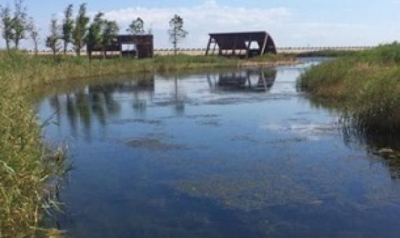 The extensively restored Yingwuzhou wetland (pictured) in Shanghai, China, emits less methane than a nearby wild wetland. Credit: Xuechu Chen
