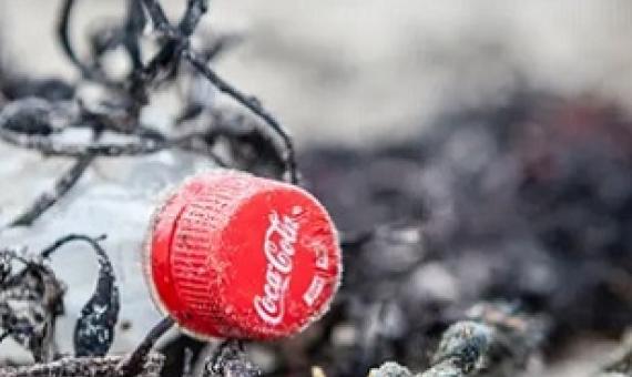 Coca-Cola bottle on a beach in Mull, Scotland. The company has come under fire for saying it would not abandon single-use plastics. Photograph: Will Rose/Greenpeace