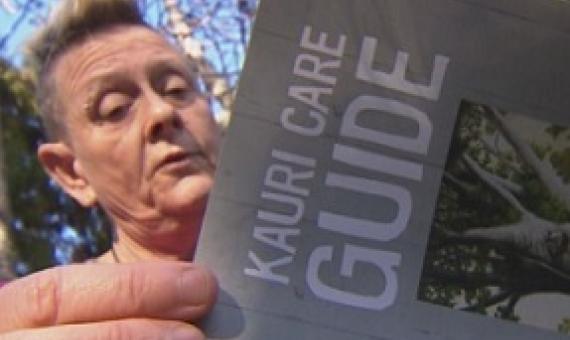 Groups are desperate for money and warn without it, the environmental impact could be irreversible. Source: 1 NEWS