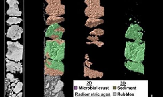 Core samples from the Great Barrier Reef displaying fossil record of microbialites. Credit: University of Sydney