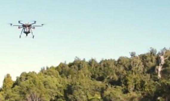 Drone dispersing seeds. Credit - www.rnz.co.nz