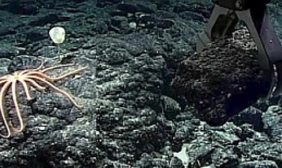 Deep sea mining. credit - Monica Evans, Mongabay.com