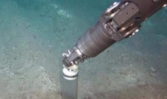 A 26-year-old test-mining track in the Peru Basin, Pacific Ocean illustrates how slowly abyssal ecosystems of the deep seabed recover from physical disturbance. Image: Geomar, ROV Kiel 6000. From Chin, A and Hari, K (2020)/20100260