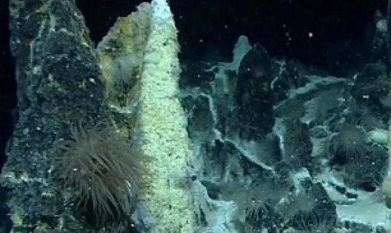 Antarctic hydrothermal vents. Credit: MARUM, Bremen Germany