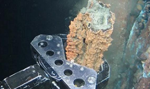 ‘Any claim of not being environmentally damaging is meaningless, as we have no idea now what that environment is’ ... a grabber breaks off a section of hydrothermal vent. Photograph: Nautilus minerals