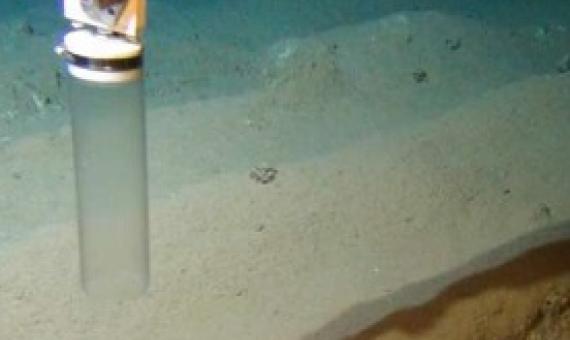 Sampling at a 6-year-old plough track in the DISCOL-area. Credit: ROV-Team/GEOMAR