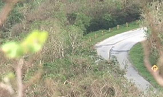 Guam could lose more control over land, waters with proposed critical habitat designation. Credit - https://www.kuam.com/