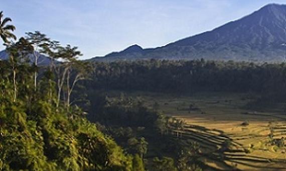 In Bali, Aboriginal people grow crops in the midst of a diverse tropical forest. EDUCATION IMAGES/UNIVERSAL IMAGES GROUP VIA GETTY IMAGES