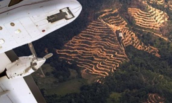 via are airplanes flying across the studied forests with a sensor attached to them. Credit: Aircraft NERC, landscape Benjamin Blonder. Image processing Jani Närhi