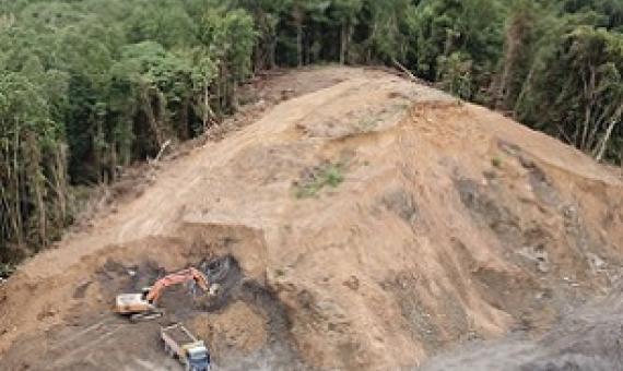 Earthmovers clear trees for a palm oil plantation in Malaysia. (Credit: Rich Carey/Shutterstock)