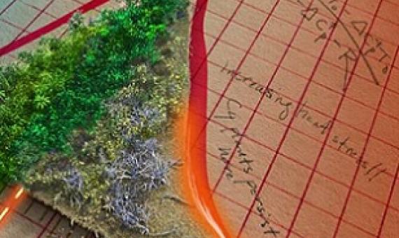 Graphic depicting the temperature tipping point at which Earth's plants will start decreasing the amount of human-caused carbon emissions they can absorb. Credit: Victor O. Leshyk/Northern Arizona University
