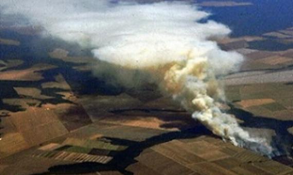 The 600-page review said that all livelihoods on Earth depended on the health of the planet. Credit - https://phys.org/ 