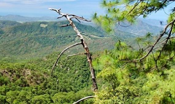 The Sierra de Manantlán biosphere reserve in Mexico is a source of clean water for urban residents in nearby cities.Credit: Adriana Margarita Larios Arellano/Shutterstock