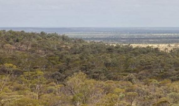 Edgbaston Reserve could be declared a special wildlife reserve. Credit - Peter Wallis
