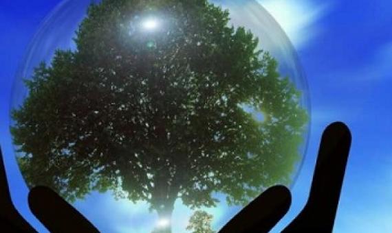 Environmental policy often has undesirable side effects