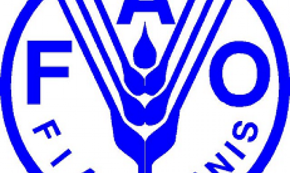 FAO logo