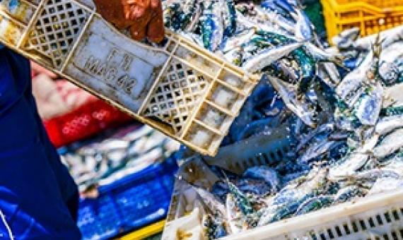 New tool tracks progress of fishery management worldwide. Source - https://www.seafoodsource.com/