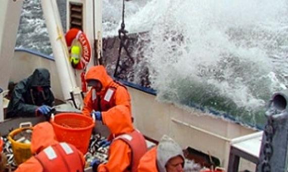 Crew on the R/V Sea Wolf count fish during a trawl survey. Environmental DNA could be a cost-effective way to improve these surveys. Credit - MONMOUTH UNIVERSITY URBAN COAST INSTITUTE